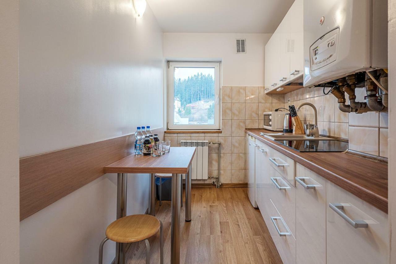 Apartament City Center Grand Family Krynica Zdroj Dış mekan fotoğraf